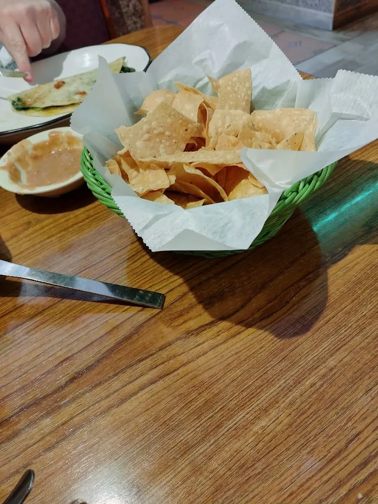 Salsa Chips